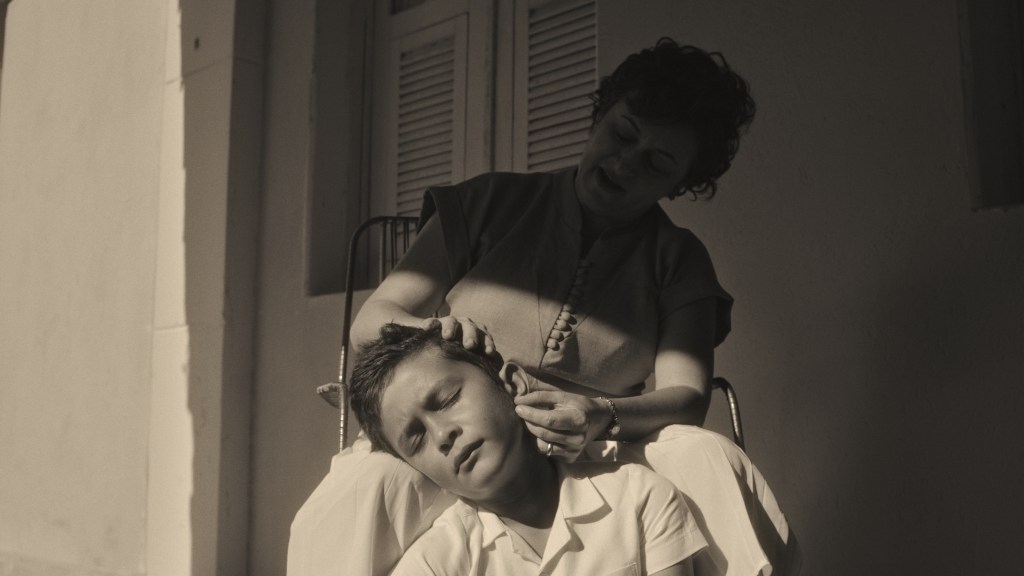 Críticas “Corpo da Paz”, “Boi de Salto” & “Couraça”. | Festival de Brasília&nbsp;2025.